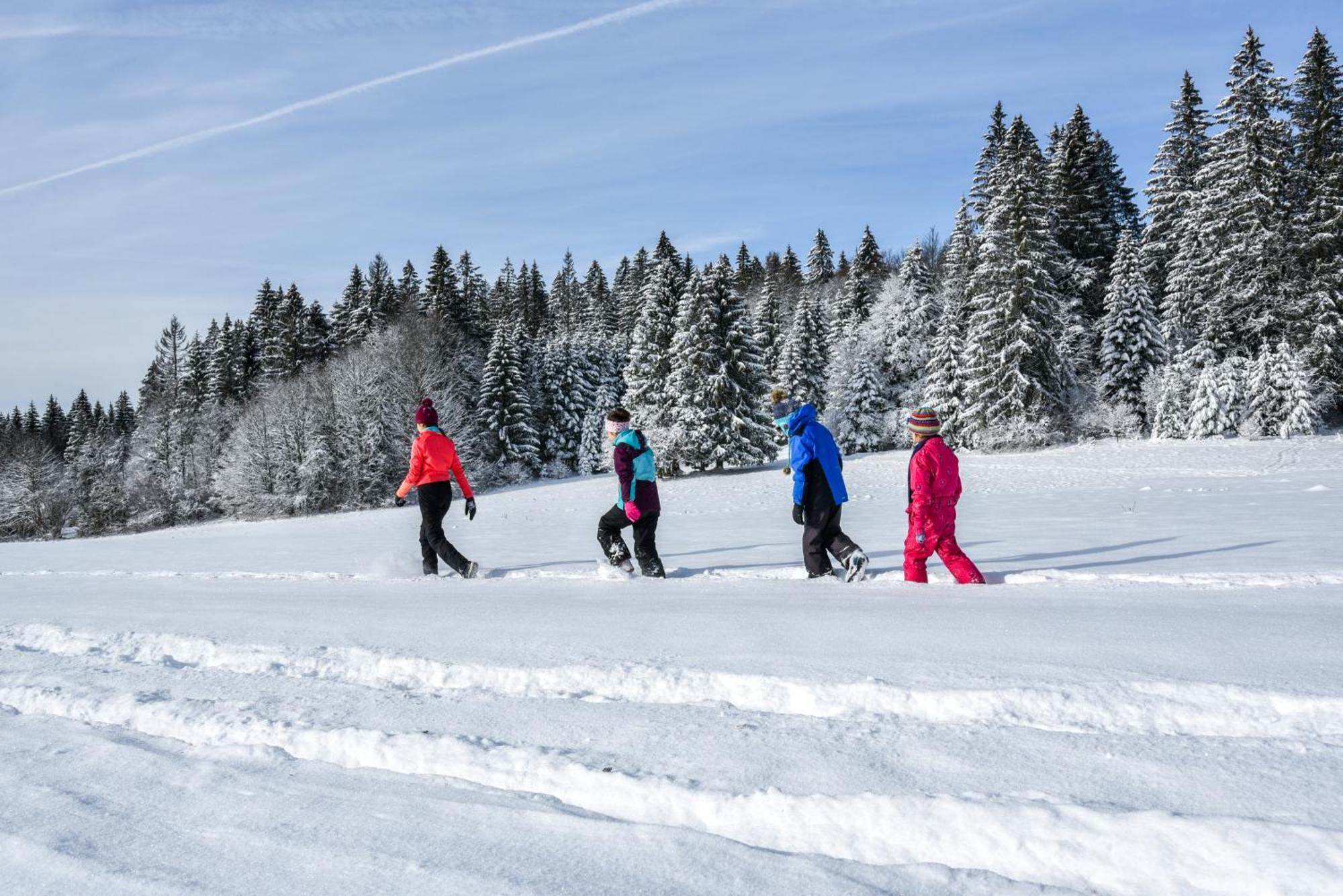 Notre Chalet - Boutique Hotel - En Couple - En Famille - En Groupe Les Fourgs Экстерьер фото